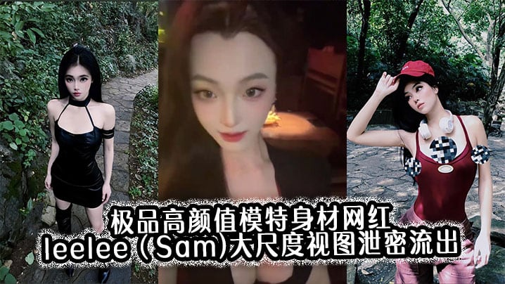 极品高颜值模特身材网红leelee（Sam)大尺度视图泄密流出