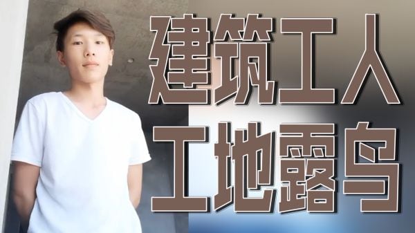 建筑工人工地露鸟