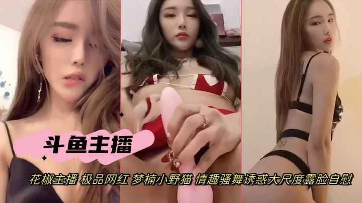 抖音网红女主播梦楠小野猫情趣骚舞道具自慰诱惑露脸