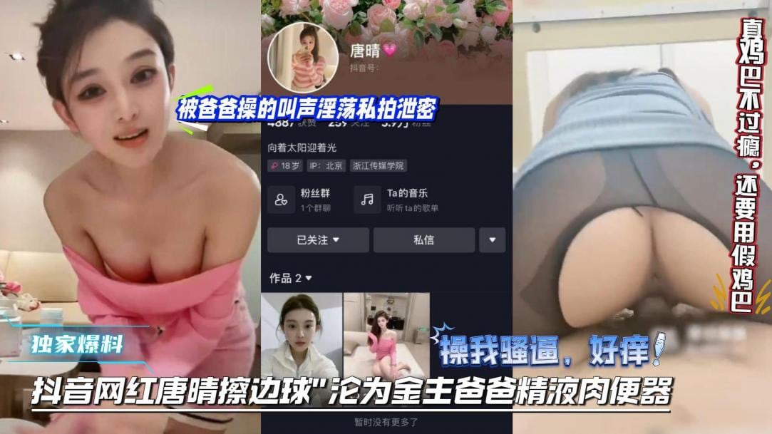 网红母狗被约擦边球被大哥包养调教成肉便器