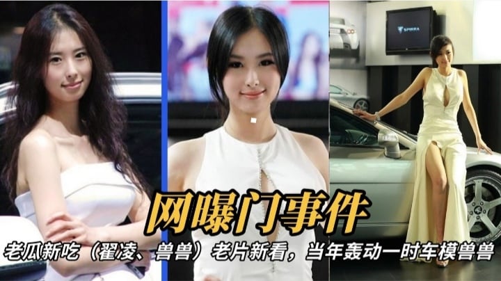 【网爆门事件】老瓜新吃，当年轰动一时车模兽兽的私密视频流出